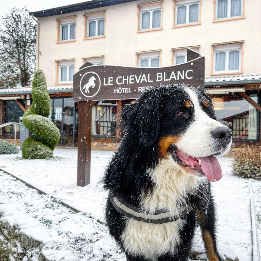 Le Cheval Blanc - Lac Du Der - Logis Hotel Жиффомон-Шампобер Экстерьер фото